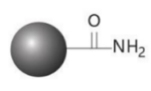 HILIC-AMIDE