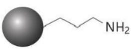 NH2
